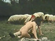歐洲經典 希臘羊群堆里激情